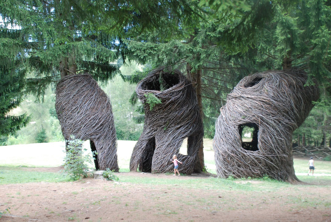 huis forest