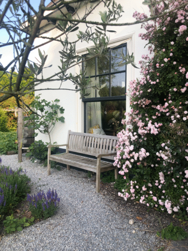 Balanced Spaces | huis met rozen