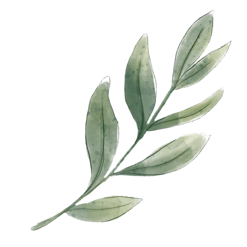 Balanced Spaces | bladeren